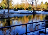 LANDSCAPE  4